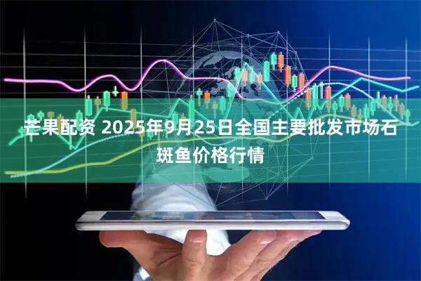 芒果配资 2025年9月25日全国主要批发市场石斑鱼价格行情