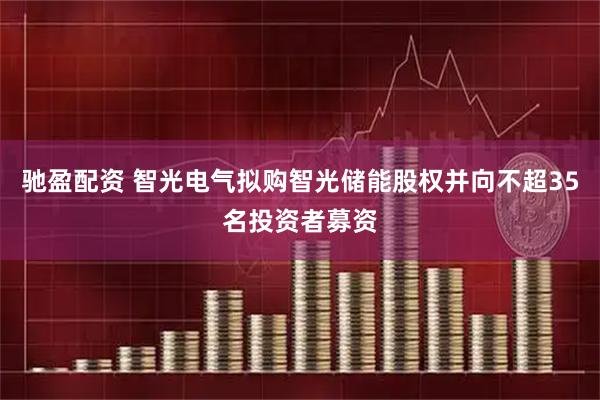 驰盈配资 智光电气拟购智光储能股权并向不超35名投资者募资