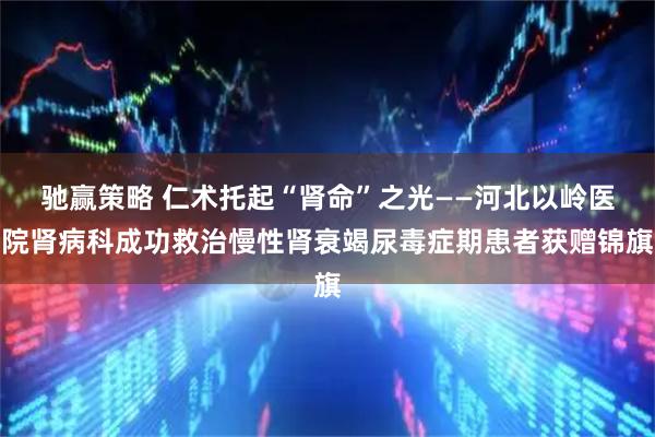 驰赢策略 仁术托起“肾命”之光——河北以岭医院肾病科成功救治慢性肾衰竭尿毒症期患者获赠锦旗