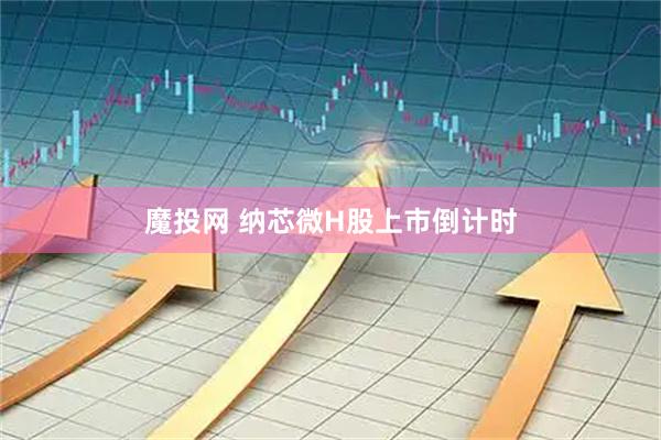 魔投网 纳芯微H股上市倒计时