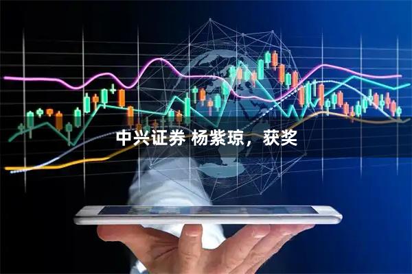 中兴证券 杨紫琼，获奖