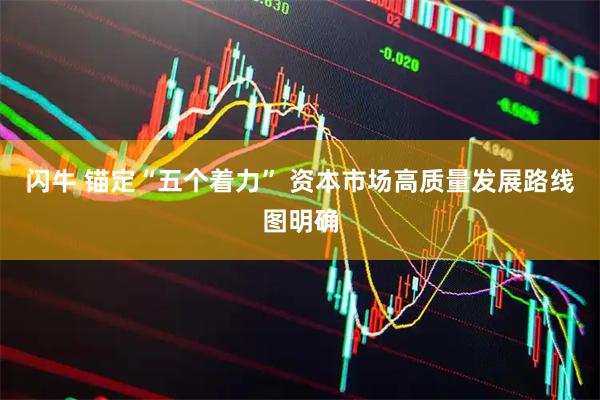 闪牛 锚定“五个着力” 资本市场高质量发展路线图明确